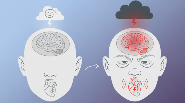 Anger Management: Apa yang Terjadi pada Jantung dan Otak Saat Kita Sedang Marah Besar?